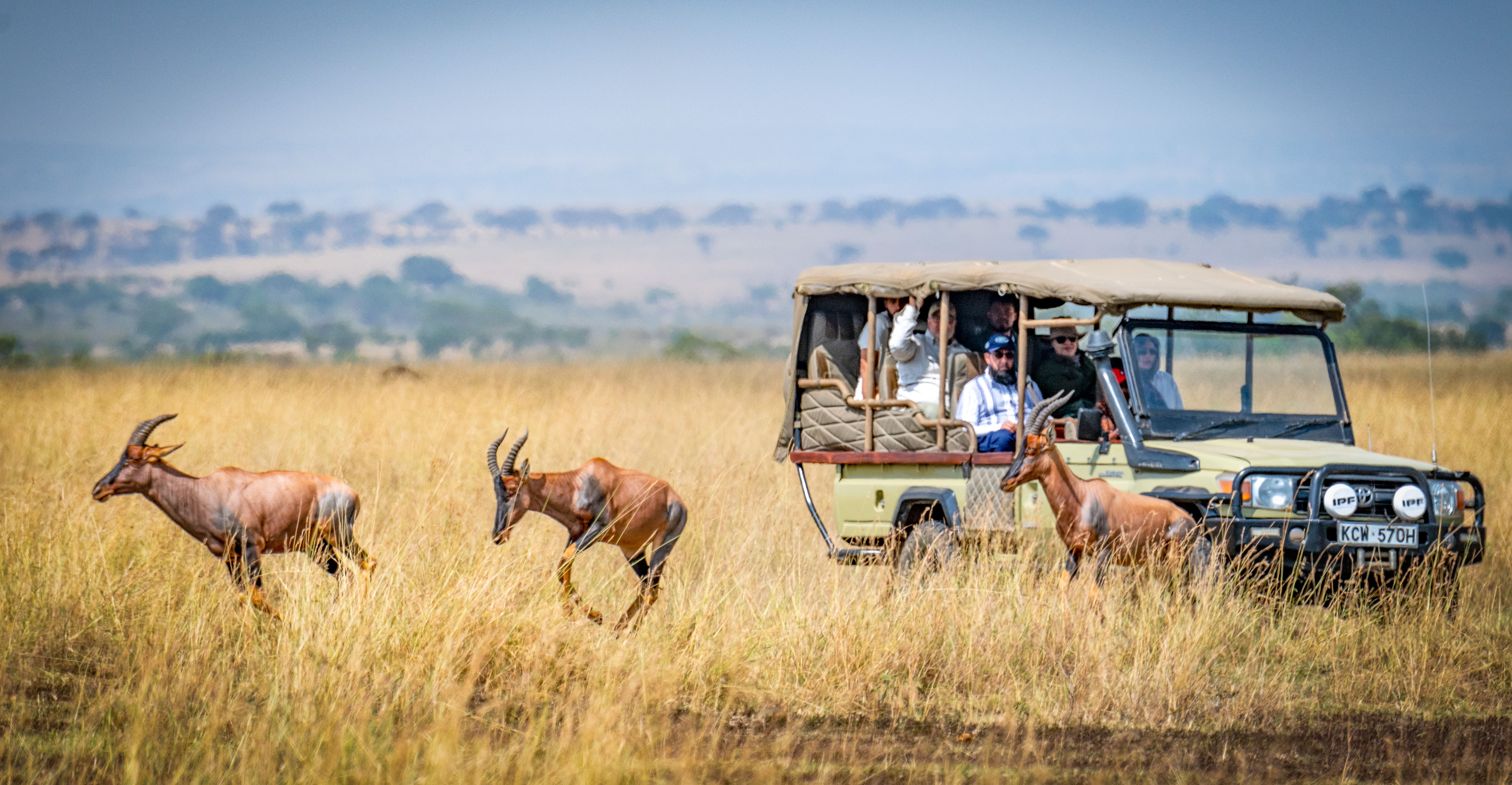 Safari in Kenya, Masai Mara
